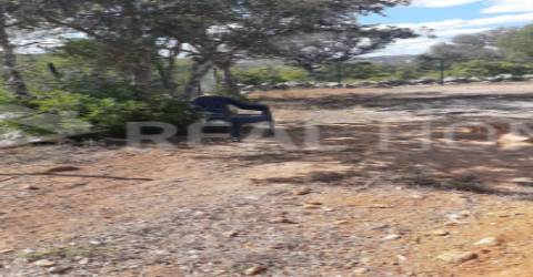 Terreno Rústico  Venda em Loulé (São Clemente),Loulé