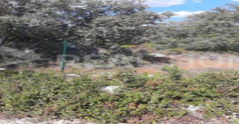 Terreno Rústico  Venda em Loulé (São Clemente),Loulé