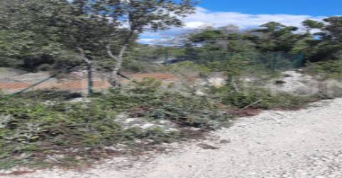 Terreno Rústico  Venda em Loulé (São Clemente),Loulé