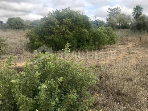 Lote de Terreno  Venda em Almancil,Loulé