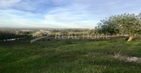 Lote de Terreno  Venda em Albufeira e Olhos de Água,Albufeira