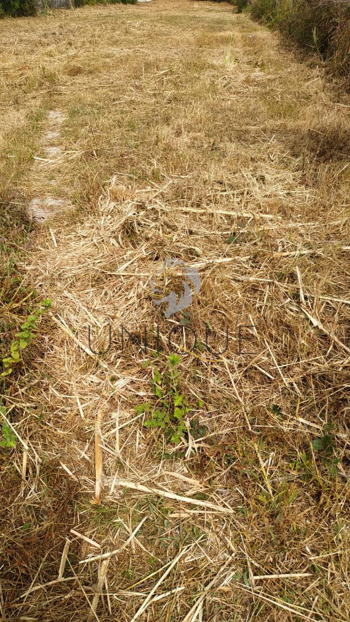 Terreno para construção