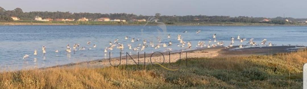 Terreno com acesso a Praia na Costa Nova