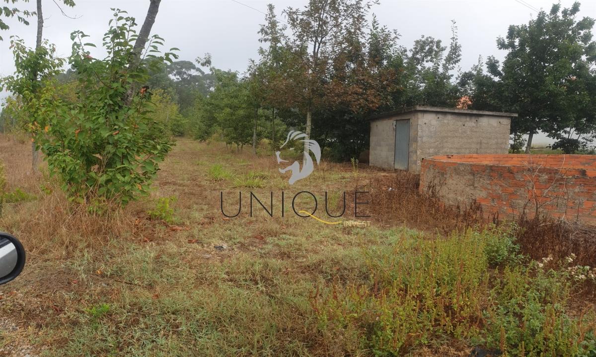 Lote de Terreno  Venda em Oiã,Oliveira do Bairro