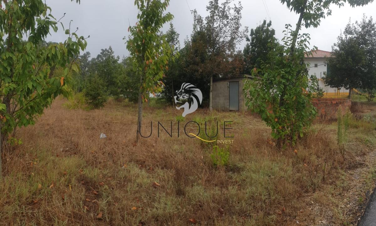 Lote de Terreno  Venda em Oiã,Oliveira do Bairro