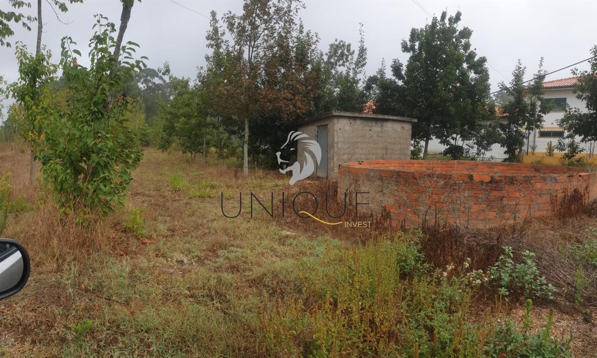 Lote de Terreno  Venda em Oiã,Oliveira do Bairro