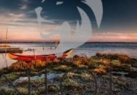 Apartamento T3 Venda em Glória e Vera Cruz,Aveiro