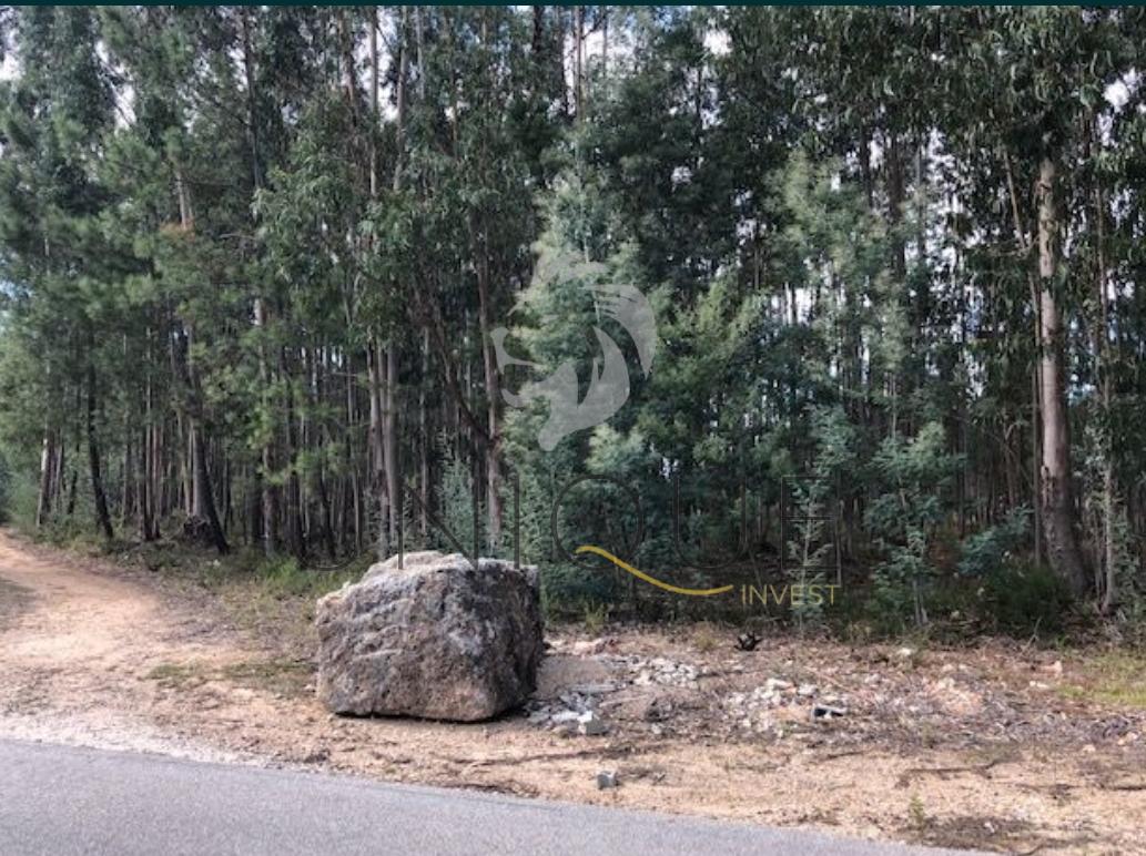 Terreno em Vale Domingos