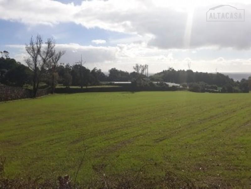 Terreno  Venda em Rosto do Cão (São Roque),Ponta Delgada