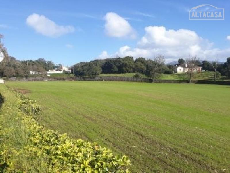 Terreno  Venda em Rosto do Cão (São Roque),Ponta Delgada