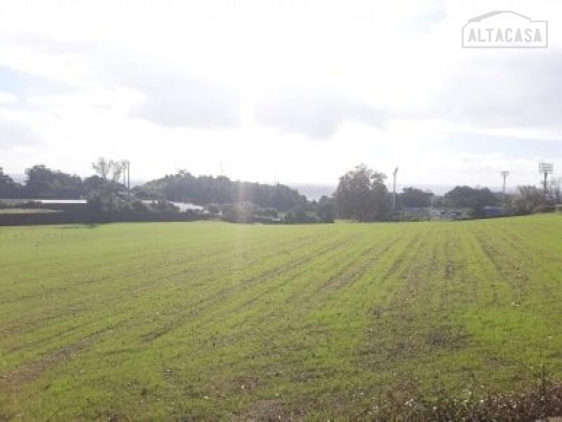 Terreno  Venda em Rosto do Cão (São Roque),Ponta Delgada