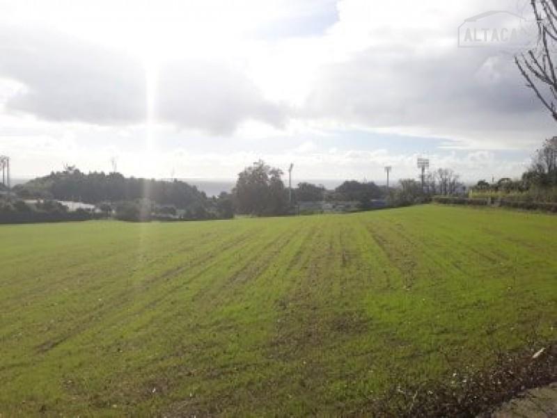 Terreno  Venda em Rosto do Cão (São Roque),Ponta Delgada