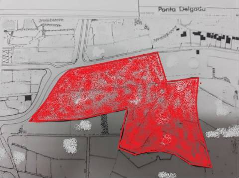 Terreno Misto - Rosto do Cão, Livramento