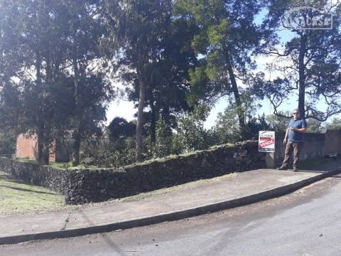 Terreno - Livramento, Rosto do Cão