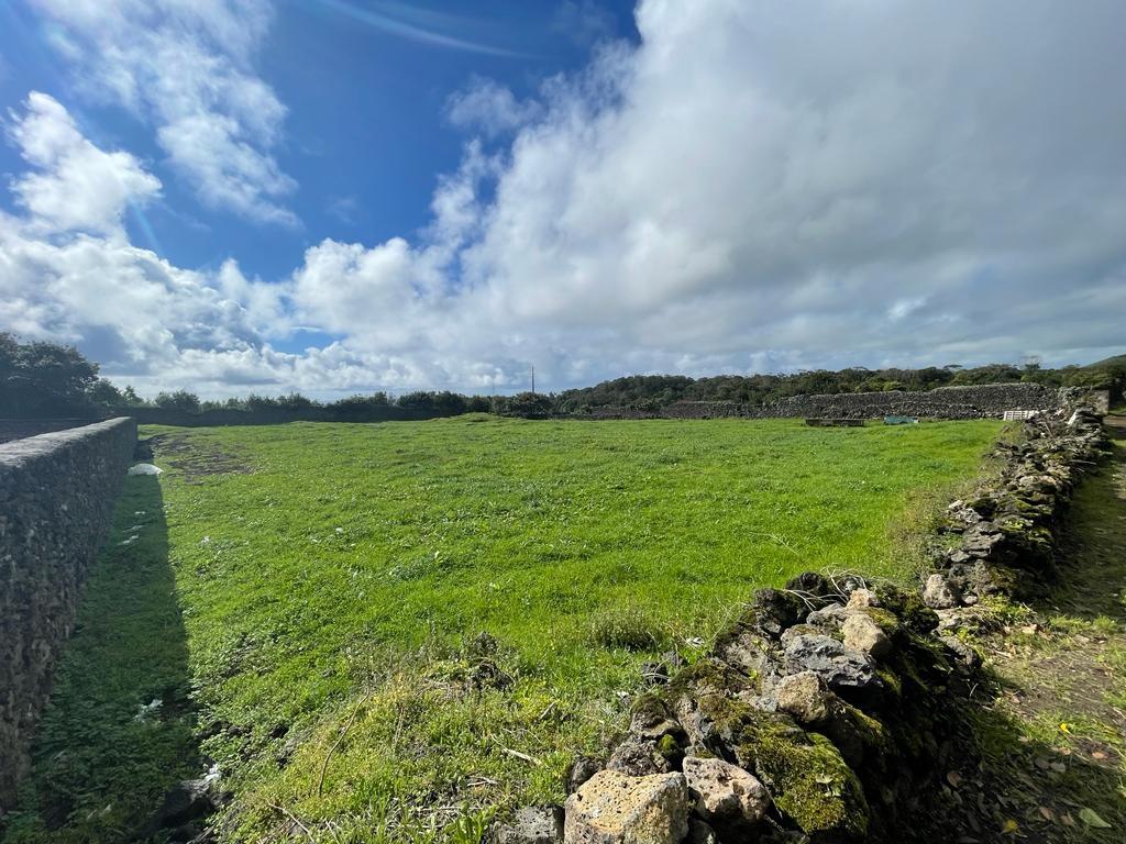 Terreno  Venda em Rosto do Cão (São Roque),Ponta Delgada