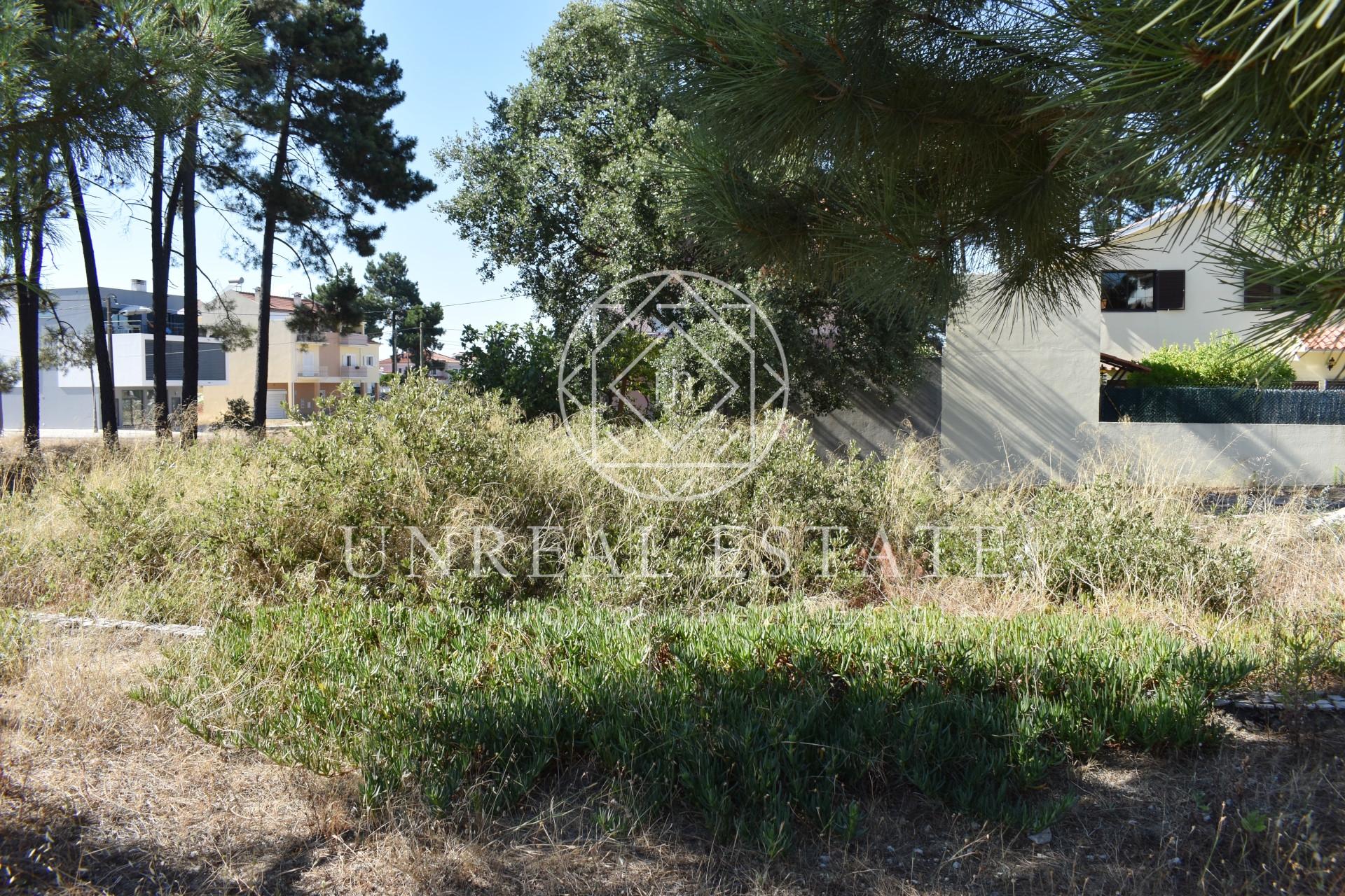 Terreno Urbano  Venda em Quinta do Conde,Sesimbra