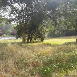 Construa a sua Moradia de Sonho! A 4min. do H.S.João