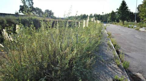 Lotes de Terreno em Gondomar - Baguim