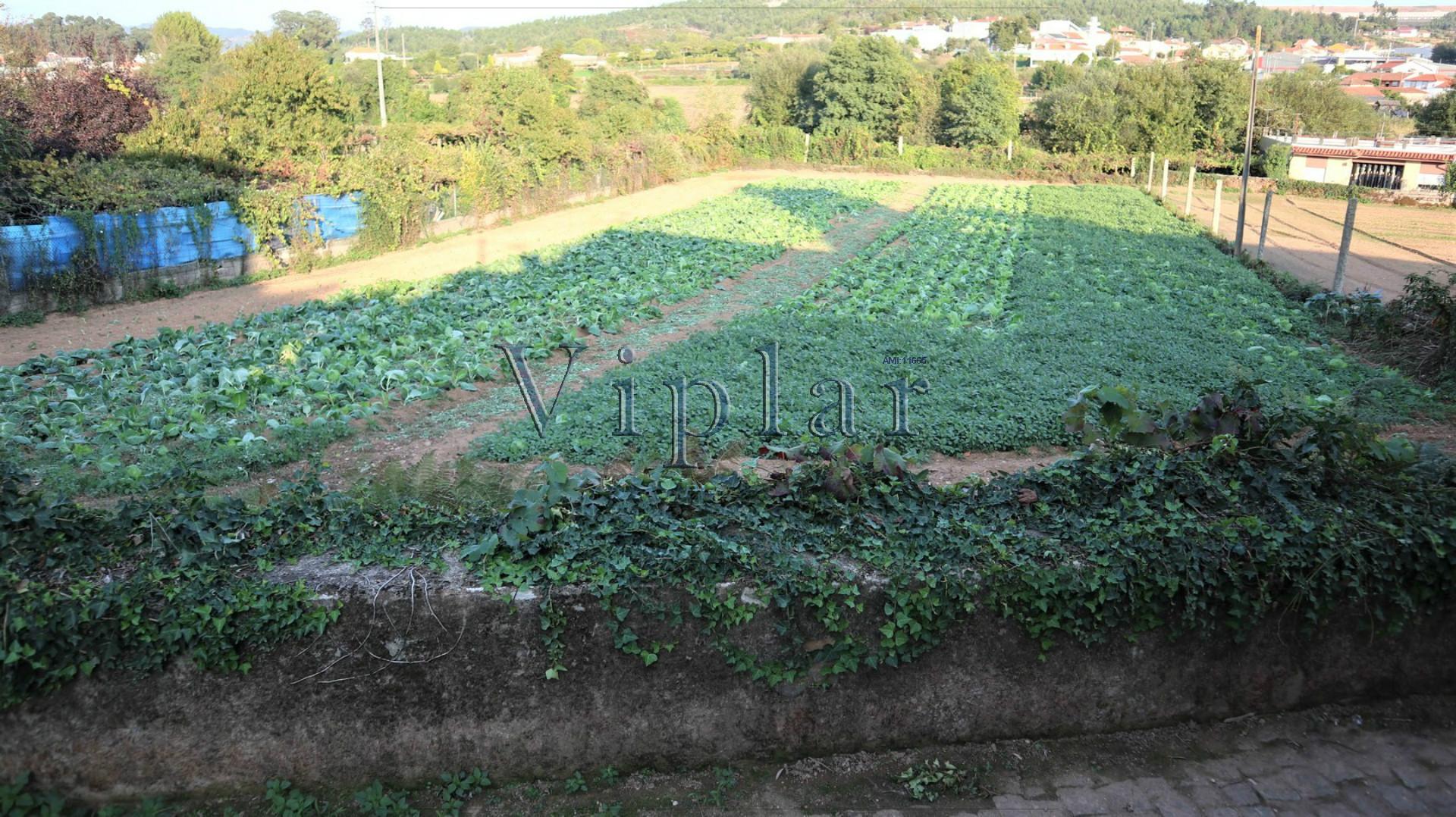 Terreno Alfena - Codeceira