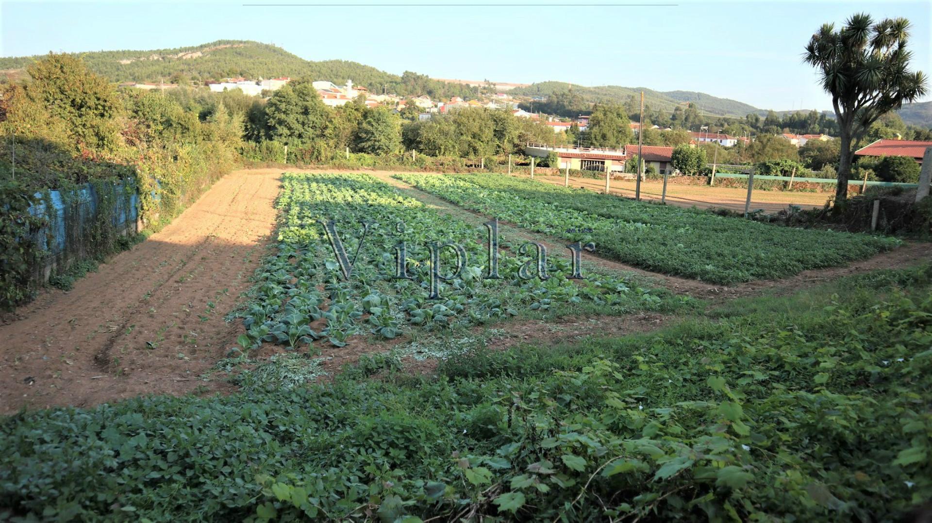 Terreno Alfena - Codeceira