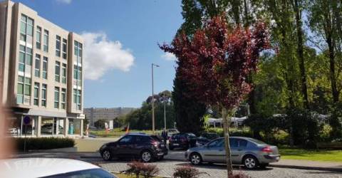 Loja c/ garagem e arrumos - ao Hospital S. João e às Faculdades