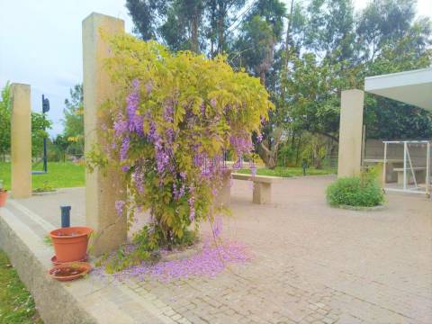 Esplendorosa Moradia T6 LUXO