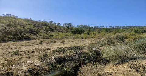 Vende-se Terreno rústico com 21250m2 em Bordeira, a poucos minutos de Aljezur