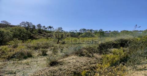 Vende-se Terreno rústico com 21250m2 em Bordeira, a poucos minutos de Aljezur