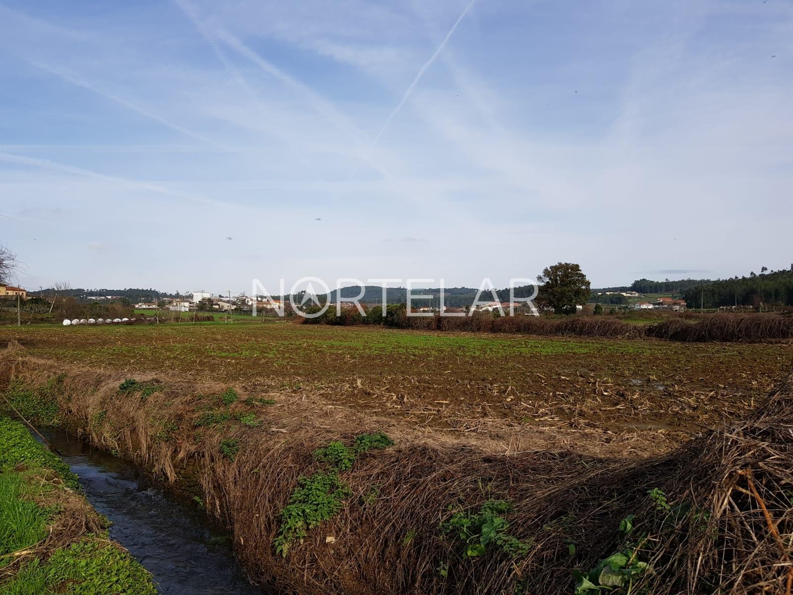 Terreno agrícola em Vila Nova de Famalicão