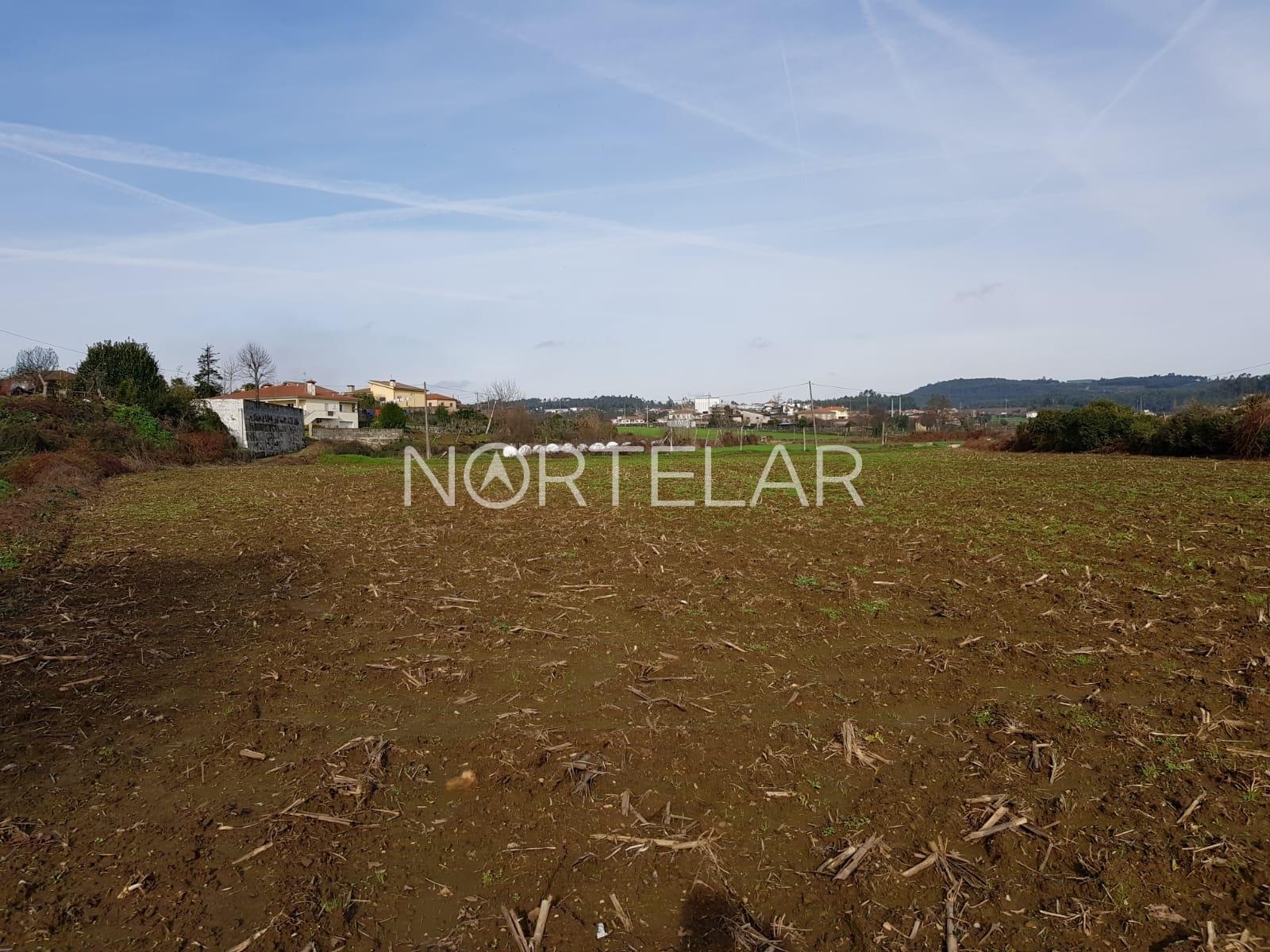 Terreno agrícola em Vila Nova de Famalicão