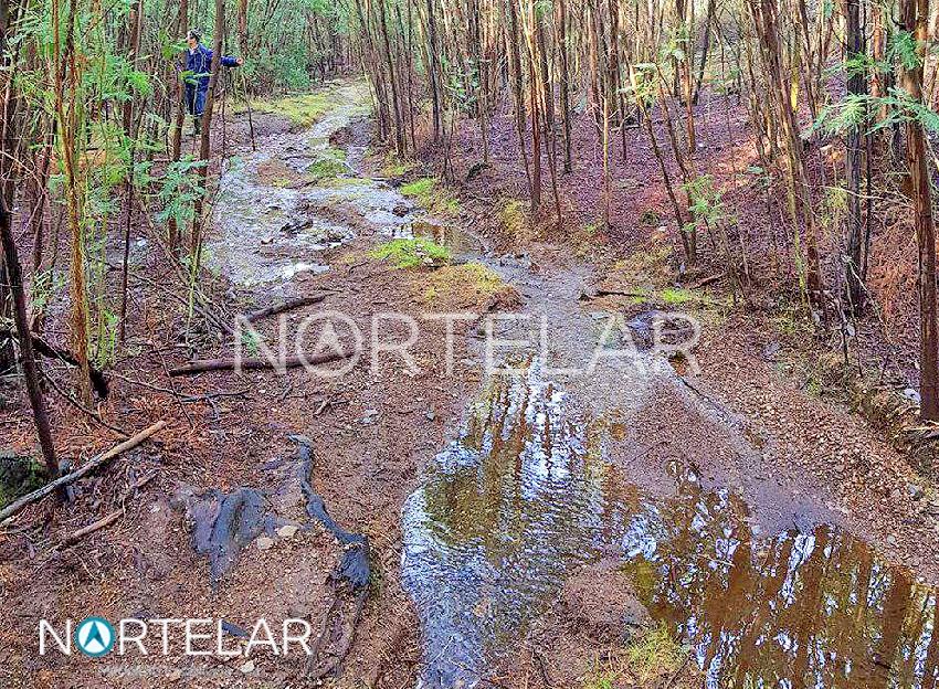 Terreno florestal em Fradelos