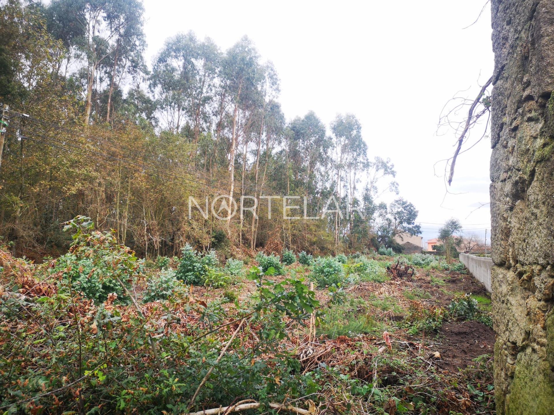 Terreno Urbano para Construção, ARGIVAI, VILA DO CONDE