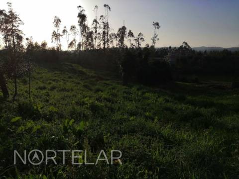 Terreno Misto de 3.700m2