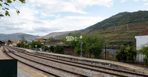 Café para comércio - Pinhão