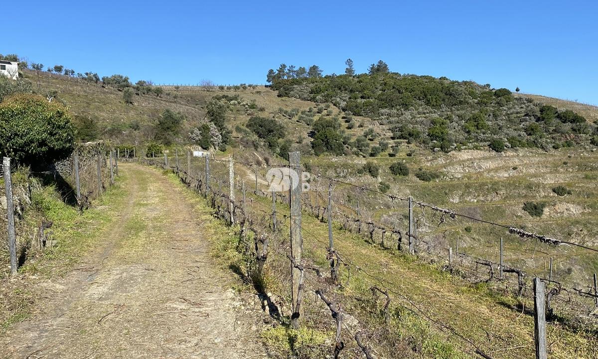 Terreno rústico 30000m² - Tabuaço