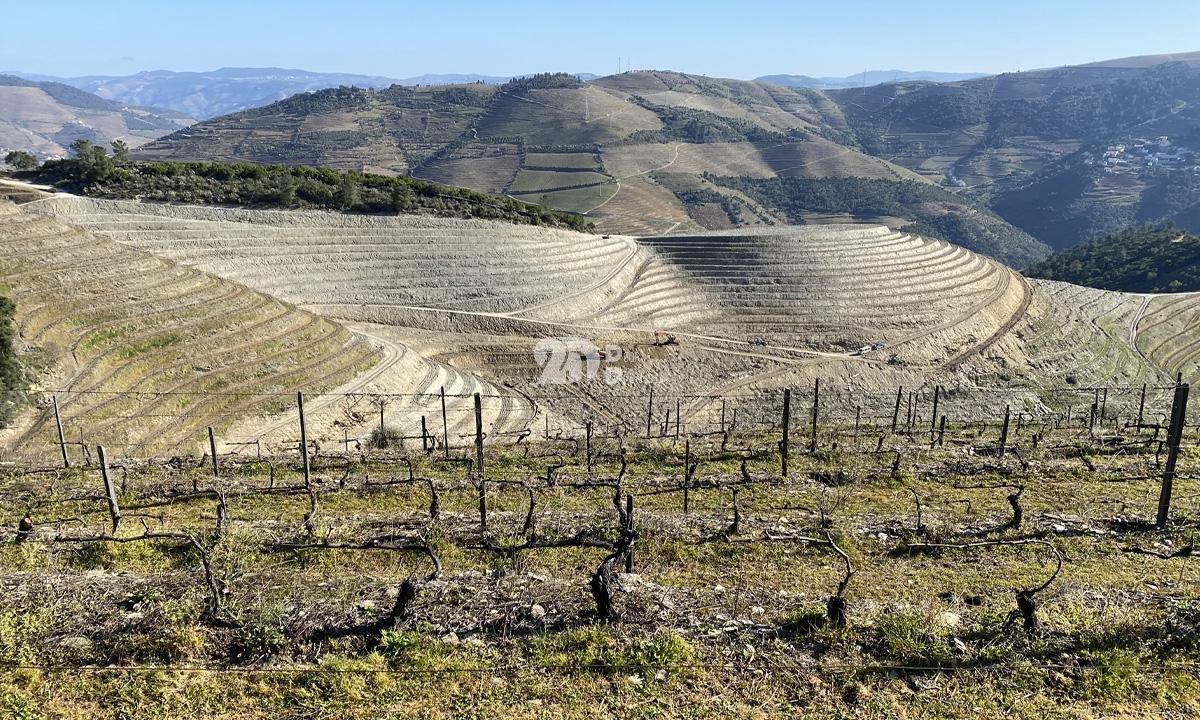 Terreno rústico 30000m² - Tabuaço