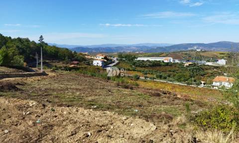 Terreno 5979m² - Tabuaço