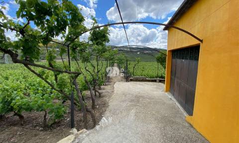 Terreno 14720m² - Barcos