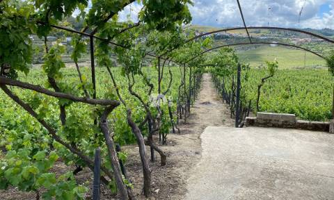 Terreno 14720m² - Barcos