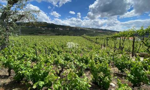 Terreno 14720m² - Barcos