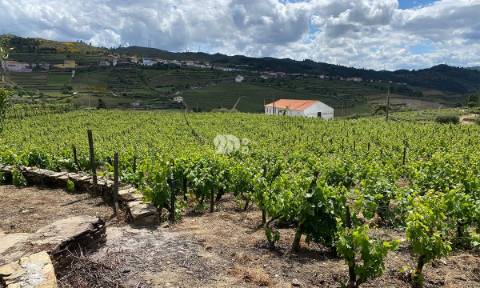 Terreno 14720m² - Barcos