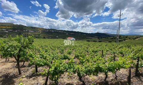 Terreno 14720m² - Barcos