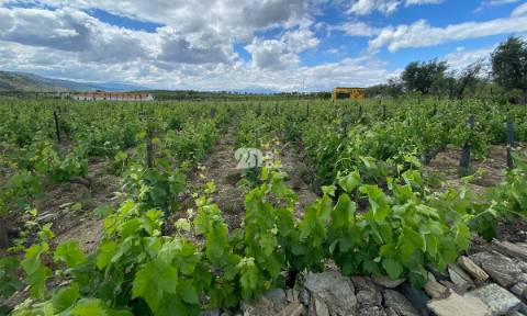 Terreno 14720m² - Barcos