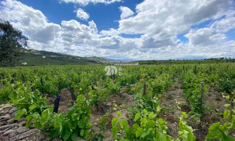 Terreno 14720m² - Barcos