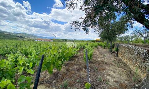 Terreno 14720m² - Barcos