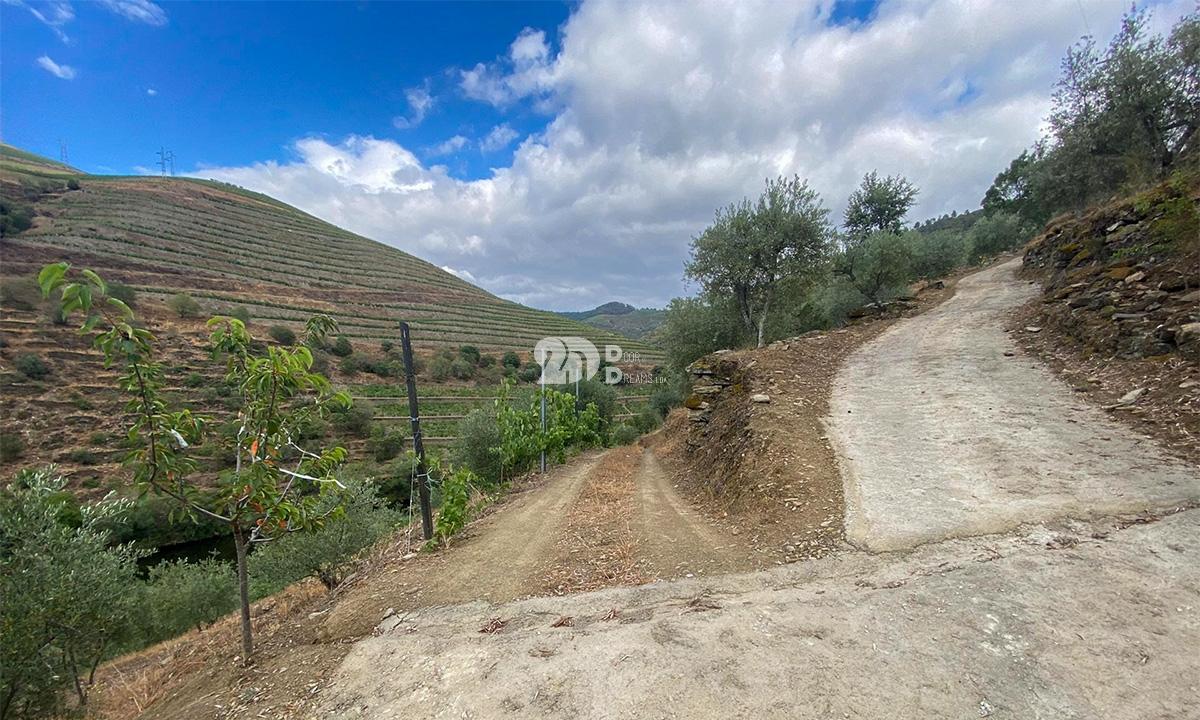 Terreno 12.600m² - Santo Aleixo