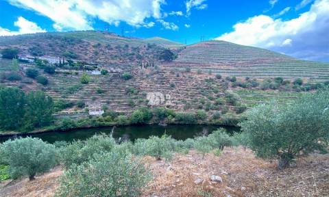 Terreno 12.600m² - Santo Aleixo