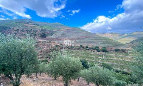 Terreno 12.600m² - Santo Aleixo