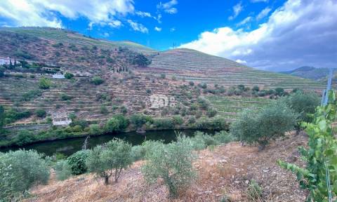 Terreno 12.600m² - Santo Aleixo