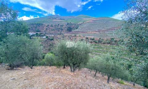 Terreno 12.600m² - Santo Aleixo